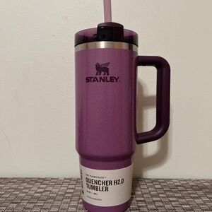 New Stanley 30oz H2O tumbler